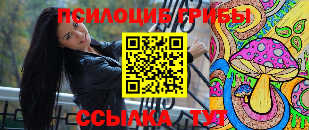 Лениногорск  Псилоцибиновые грибы ЛСД  Вход с VPN 